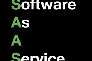 Matt C Milne – The Savvy SAAS System