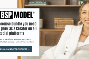 Modern Millie – The BSP Model